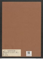 Gephyria media Arn. (de-Toni-Nr.: Genus 102, Species 3112) Zeichnungen Sammlung Grunow Mappe 03338 (Herbarium_W_Grunow_drawings_Folder_03338)
